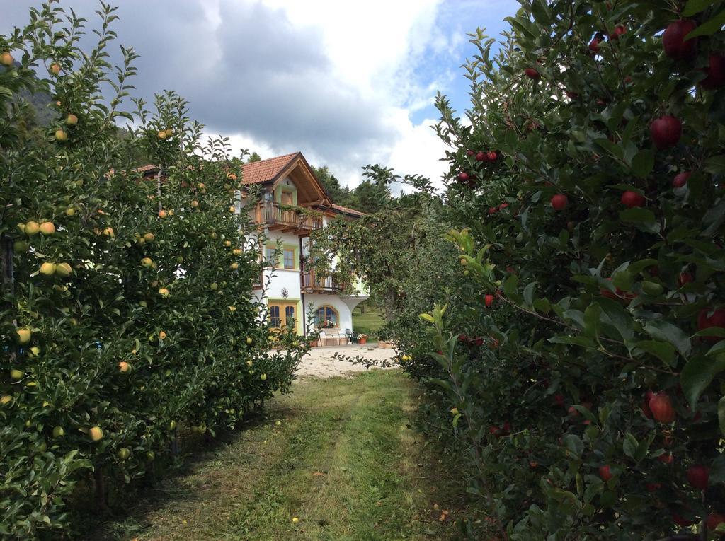 Vila Agriturismo Maso Tafol Cloz Exteriér fotografie
